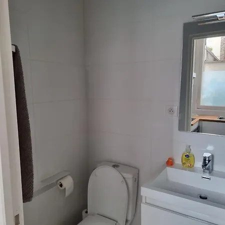 Tres Beau 15, Proche Des Commerces Et De La Tour Eiffel פריז